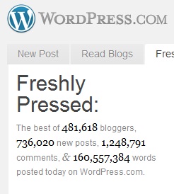 Freshly Pressed and Better Than Your Blog